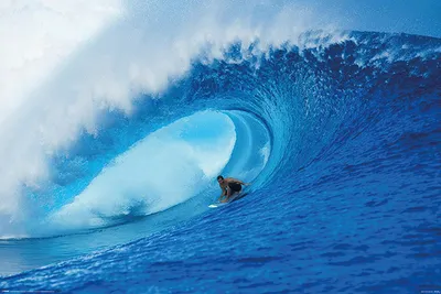 Image de Riding The Wave Poster Surf 61 x 91,5 cm