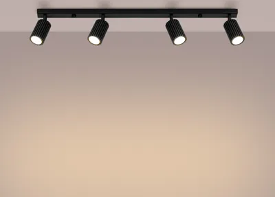 Produktbild von Deckenleuchte KARBON 4L schwarz