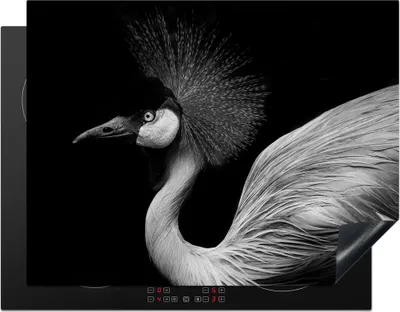 Produktbild von KitchenYeah© Herdabdeckplatte Kranich - Schwarz - Weiß - Vogel - Tiere , 77x59cm, Küche Deko, Glaskeramikkochfeld Herdabdeckung, Abdeckplatte fùr Kochfeld