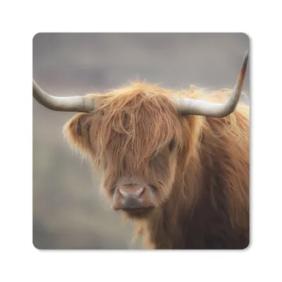 Produktbild von MuchoWow® Mauspad Mousepad Schottischer Highlander - Licht - Porträt 20x20 cm - Mousepads - Maus Mat - Pad - Mausunterlage - Desk Mat - Bureauartikeln