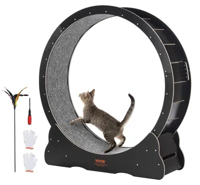 Produktbild von Katzenlaufrad - Katzenfitnessrad - Katzenrad für Bewegung - Groß, 110 cm