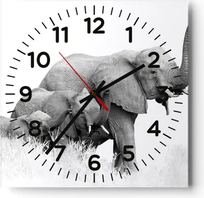 Produktbild von Wanduhr - Quadrat - Glasuhr - Elefanten Familie Schwarz und Weiß - 40x40cm - Schleichendes Uhrwerk - Lautlos - zum Aufhängen bereit - Dekoration Modern - Wanddekoration aus Glas - C4AC40x40-4374