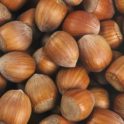 Produktbild von Haselnuss 2L