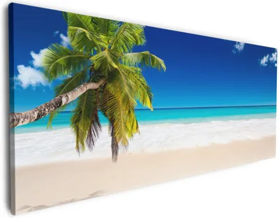 Produktbild von Wallario Premium Leinwandbild Südseestrand in der Karibik mit Palme in Größe 60 x 150 cm