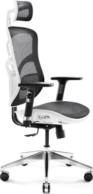 Image de Diablo V-Basic Office Ergonomic Chair Executive Chair Mesh Adjustable Armrests Height Adjustable White-Black