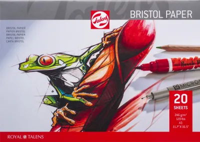 Immagine prodotto di Talens - Carta Bristol, 250 g/m², ft 29,7 x 42 cm (A3)