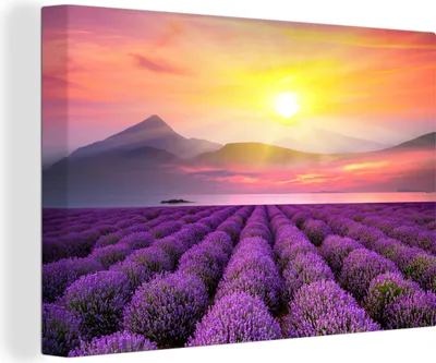Produktbild von OneMillionCanvasses® - Leinwandbilder - 150x100 cm, Ein Lavendelfeld mit Bergen im Hintergrund, Wandbilder Kunstdruck Wanddekoration