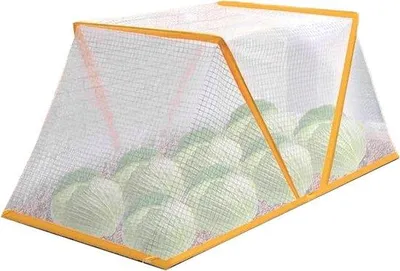 Produktbild von Schutzzelt Gartenpflanzen - Pflanzenschutzgitter - Winterschutz Pflanzen - Faltbares Aufziehbett - 80x35x34 cm - Transparent