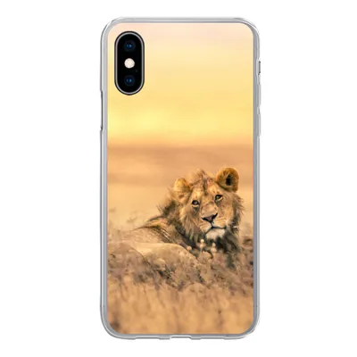 Produktbild von MuchoWow® Handyhülle Schutzhülle Hülle für iPhone X Löwen - Gras - Himmel Silikon Softcase Handy Hülle - Handyhülle