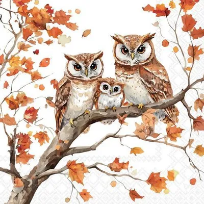 Produktbild von 20 Servietten Family of Owls - Eulenfamilie auf Herbstbaum 33x33cm