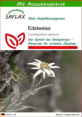Produktbild von SAFLAX - Edelweiss - Leontopodium alpinum - 500 Samen - Mit keimfreiem Anzuchtsubstrat