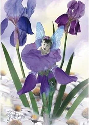 Produktbild von Schmidt Spiele - Flitterbyes, Lili Lilchen, 1000 Teile Puzzle