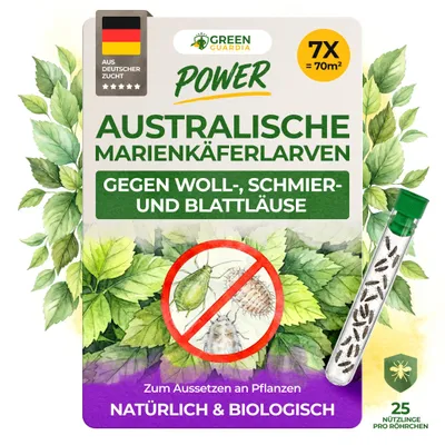 Produktbild von Australischer Marienkäfer - Larven gegen Wollläuse & Schmierläuse - 7x Röhrchen - Wolläuse bekämpfen, Schmierläuse bekämpfen, Blattläuse bekämpfen