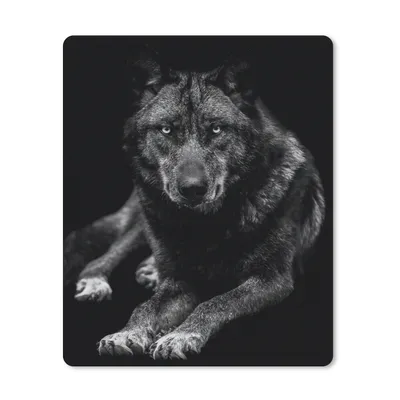 Produktbild von MuchoWow® Mauspad Mousepad Tiere - Wolf - Schwarz - Weiß - Porträt 30x40 cm - Mousepads - Maus Mat - Pad - Mausunterlage - Mausmatten