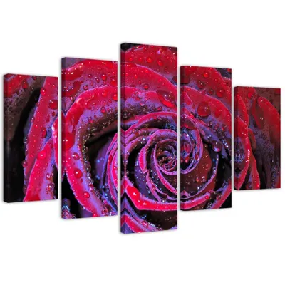 Produktbild von 5-teiliges leinwandbild taufrische rose 150x100 cm Feeby rot wandbild bereit zum aufhängen