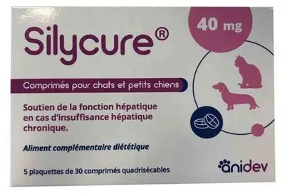 Produktbild von SYLICID 40 mg - ANIDEV