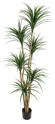 Immagine prodotto di Dracena artificiale (Dracaena), altezza 180 cm – Pianta ornamentale realistica per interni, uffici e terrazzi, che non richiede manutenzione