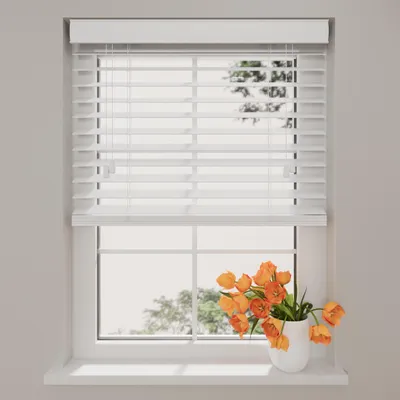 Produktbild von Kunststoff Jalousie Easy - 50 mm - Weiß - 120 x 240