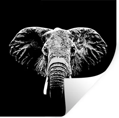 Produktbild von MuchoWow® Wandtattoo Wandsticker Wandaufkleber Elefant - Tiere - Schwarz - Weiß 50x50 cm Selbstklebend und Repositionierbar - Selbstklebend - Fototapeten