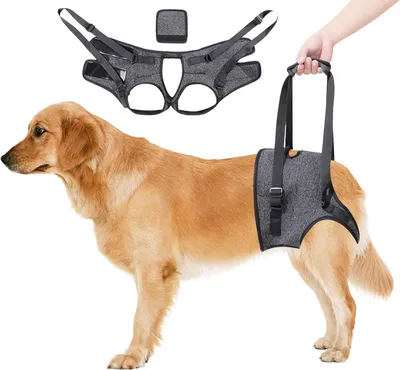 Imagen del producto de Arnés de apoyo para perros, ajustable, talla L, ideal para perros mayores o con movilidad reducida