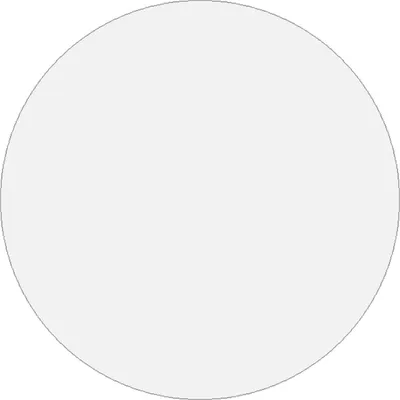 A plain light gray circle.