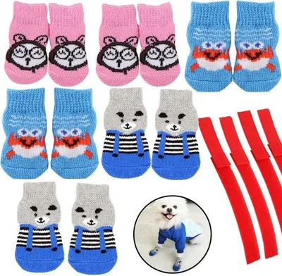 Image de Chaussures pour pattes de chien avec protection des pattes