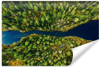 Produktbild von Muralo XXL Selbstklebende FOTOTAPETE Fluss Bäume Aussicht von oben 3D Effekt (B) 152,5 cm x (H) 104 cm Tapete Wandtapete WOHNZIMMER SCHLAFZIMMER 4624