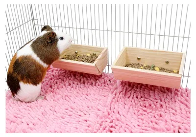 Produktbild von 2 Stück Futterbox für Meerschweinchen, Holz-Futternapf für Kleintiere, hängende Futterschale für Kaninchen, Zubehör für Kleintierkäfige, geeignet für Kaninchen, Chinchillas, Meerschweinchen und Hamster