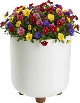 Immagine prodotto di HowHomely | Vaso da fiori con piedini - Fioriera - color crema - 21 x 19 cm - realizzato con materiale riciclato - Vaso da fiori - Pratico