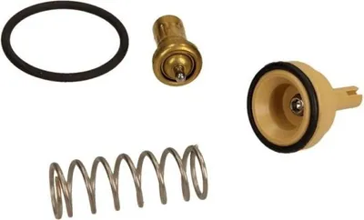 Image de Thermostat Pour Vag
