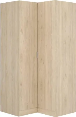 A corner wardrobe with two doors.