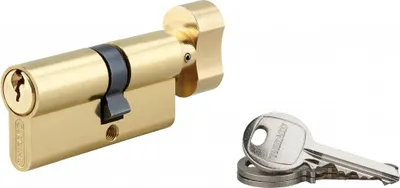Image de Cylindre de serrure à bouton SA, 30Bx40mm, anti-arrachement, laiton, 3 clés - THIRARD