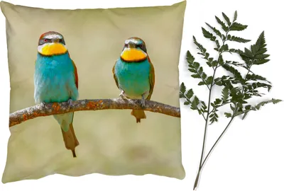 Produktbild von MuchoWow® Zierkissen Sofakissen Wohnzimmer Dekokissen 45x45 cm Vögel - Tiere - Bienenfresser - Schlafpolster - Polster für das Sofa