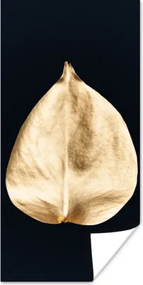 Produktbild von MuchoWow® Poster Blätter - Schwarz und Gold - Schwarz - Gold - Luxus 60x120 cm - Wandschmuck