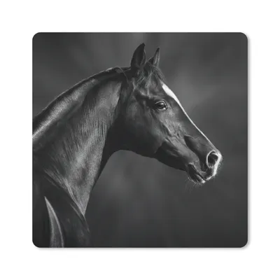 Produktbild von MuchoWow® Mauspad Mousepad Pferd - Tiere - Schwarz - Weiß - Porträt 20x20 cm - Mousepads - Maus Mat - Pad - Mausunterlage - Desk Mat - Bureauartikeln