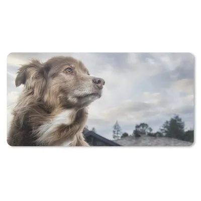 Produktbild von MuchoWow® Mauspad Mousepad Starrender Hund 60x30 cm - Mousepads - Maus Mat - Pad - Mausunterlage - Nachhaltig