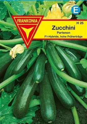 Produktbild von Zucchini Partenon F1