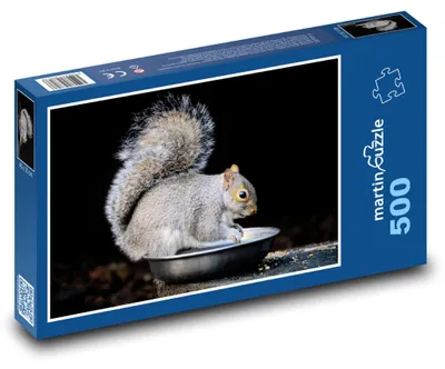 Zdjęcie produktu dla Puzzle 500 Szara wiewiórka w przyrodzie - martinpuzzle