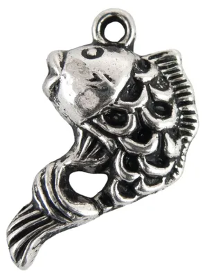 Produktbild von 5 Charm Anhänger 'Fisch', 12 x 20 mm, altsilber