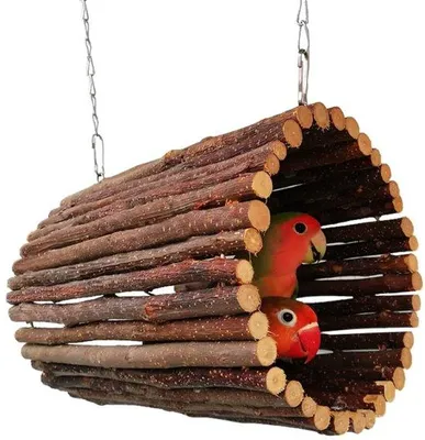 Produktbild von Holzvogeltunnel - Appelholz - Slijtvast - Vogelspielzeug - Papegaaientunnel - Ruim - Geschikt für Papageien
