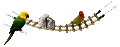 Produktbild von Vogelbrücke aus Holz, Schaukelbrücke mit Haken, Kletterspielzeug für Lovebirds, Conures, Frettchen, Eichhörnchen und Zuckergleiter als Zubehör für Kleintierkäfige