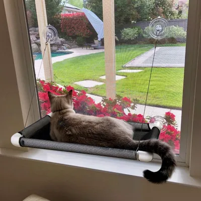 Produktbild von Katze Hängematten für Fenster - Sitz Saugnäpfe Platz sparende Katze Bett, Haustier ruhenden Sitz Sicherheit Katze Fenster Barsch für große Katzen, die alle rund 360 ° Sonnenbad für Indoor, gewichtet bis zu 60lbs