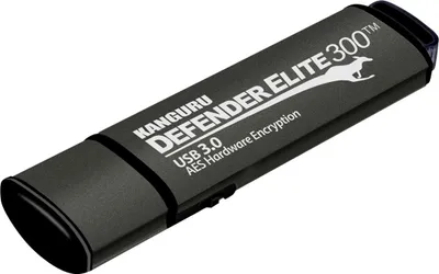 Produktbild von KANGURU Defender Elite300 256GB