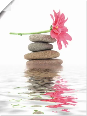 Produktbild von ARTland Poster Zen Spa Steine mit Blumen I Größe: 30x40 cm