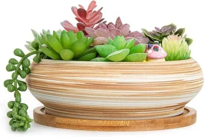 Image de Grands pots de 18,5 cm pour plantes d'intérieur et cactus