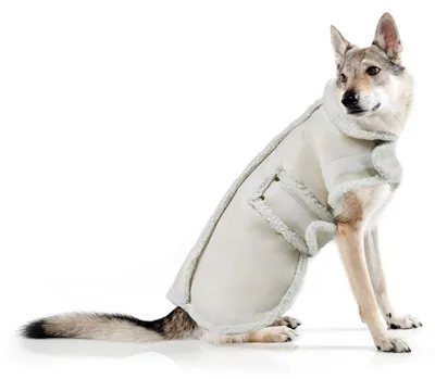 Produktbild von XUANQIFC Winterjacke für Hunde, warm, Winddicht, Dicker Fleecemantel für mittelg