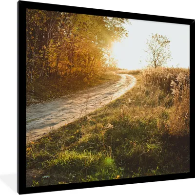 Produktbild von MuchoWow® Gerahmtes Poster Weg - Natur - Baum 40x40 cm - Poster mit Schwarzem Bilderrahmen Wandposter Rahmen Foto Bilder - Mit Rahmen - Wanddekoration Schlafzimmer