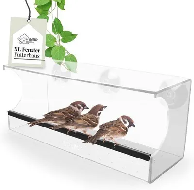 Produktbild von Famanu Vogelhaus Futterstation - Transparent, 30 cm