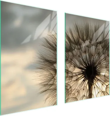 Produktbild von Glasschutzplatte Für Küche 65X52 Blume