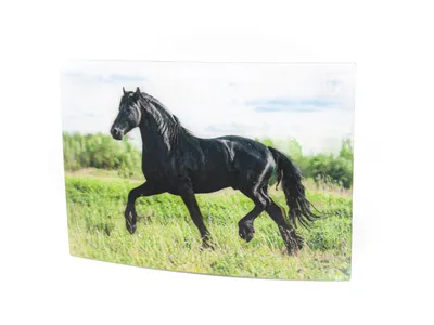 Produktbild von 3 D Ansichtskarte schwarzes Pferd, Postkarte Wackelkarte Hologrammkarte Tiere Tier Pferde